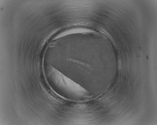 X0000068890444200605261850