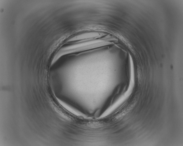 X0000068890445200605261850