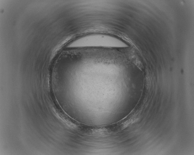 X0000068890446200605261850