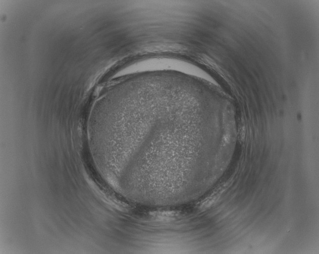 X0000068890448200605261850