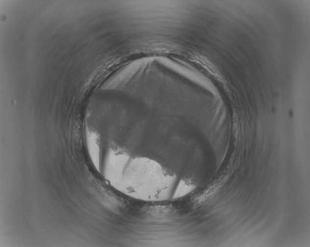 X0000068890449200605261850