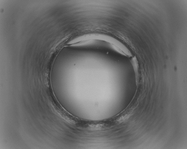 X0000068890450200605261850