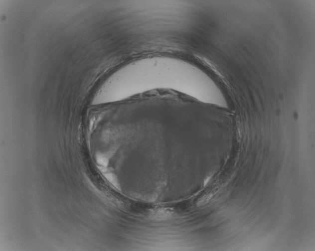 X0000068890451200605261850