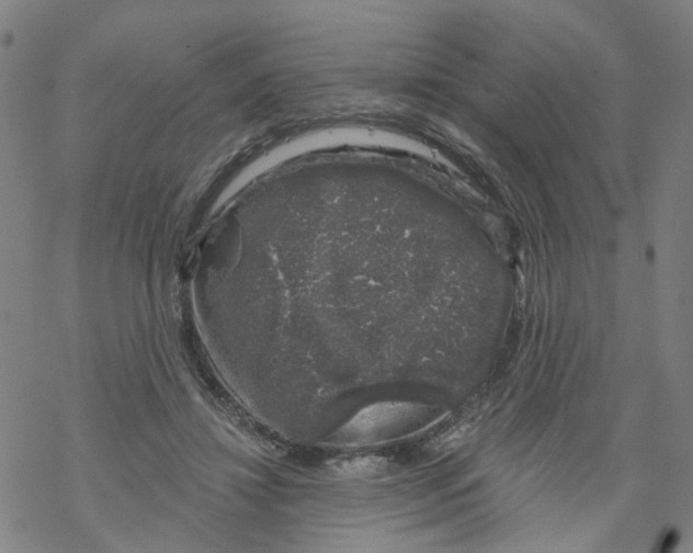 X0000068890452200605261850