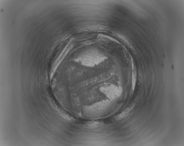 X0000068890453200605261850