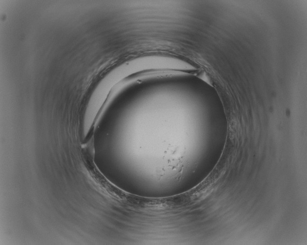 X0000068890454200605261850