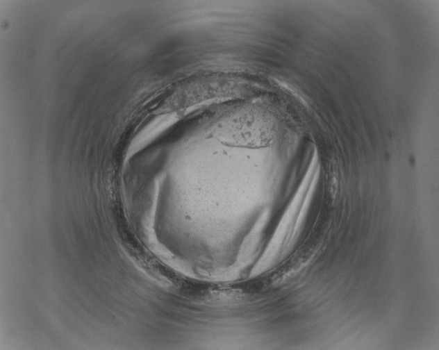 X0000068890455200605261850