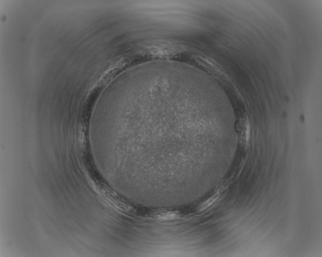 X0000068890456200605261850