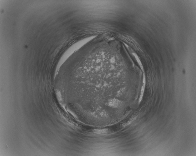 X0000068890457200605261850