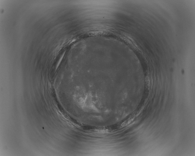 X0000068890458200605261850