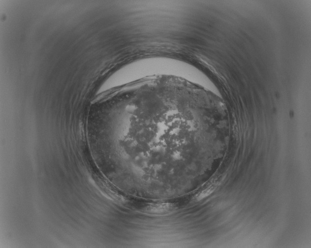 X0000068890459200605261850