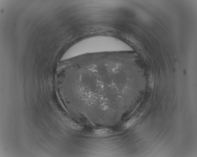 X0000068890461200605261850