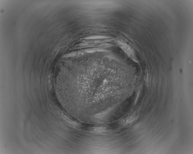 X0000068890462200605261850