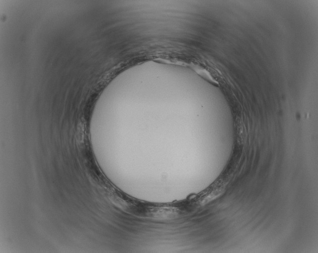 X0000068890463200605261850