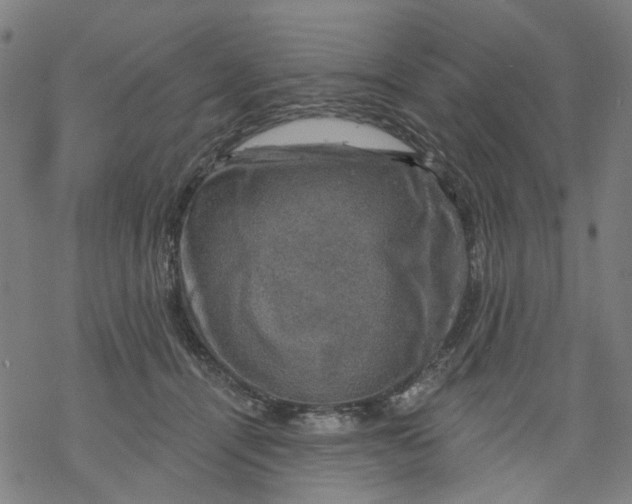 X0000068890464200605261850