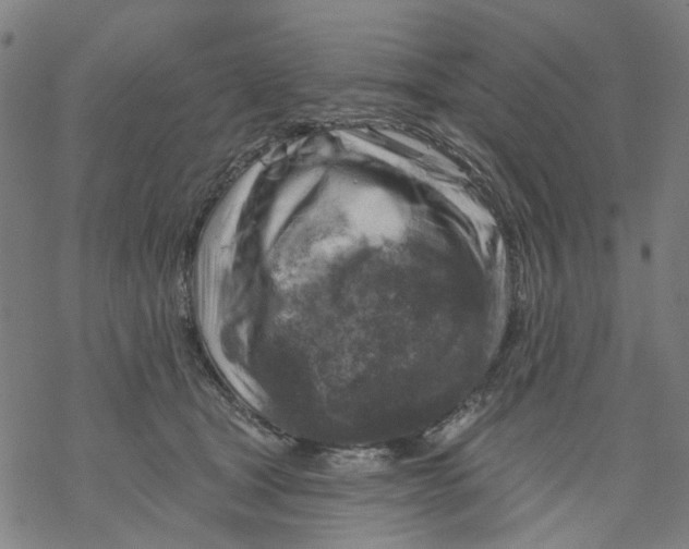 X0000068890465200605261850