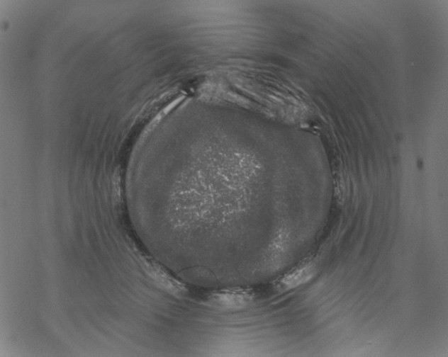 X0000068890466200605261850