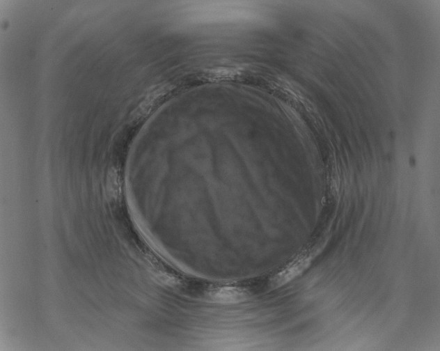 X0000068890467200605261850