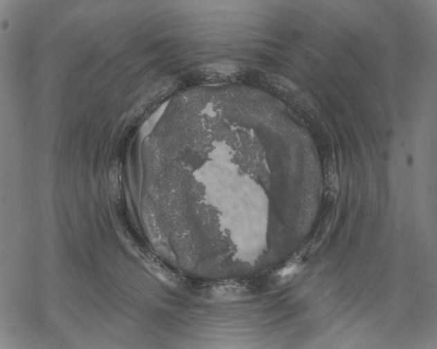 X0000068890468200605261850