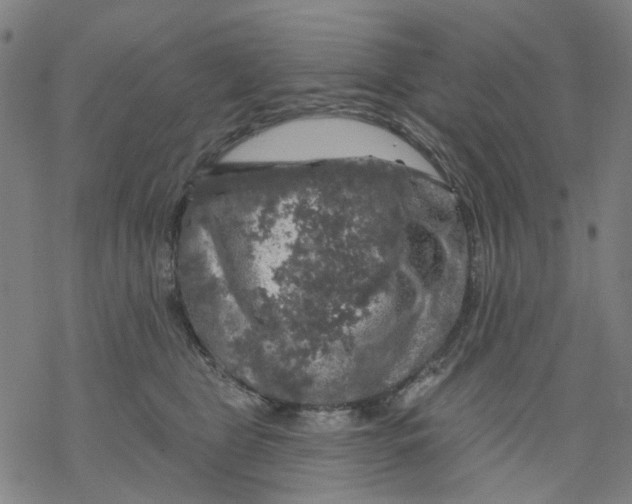 X0000068890469200605261850