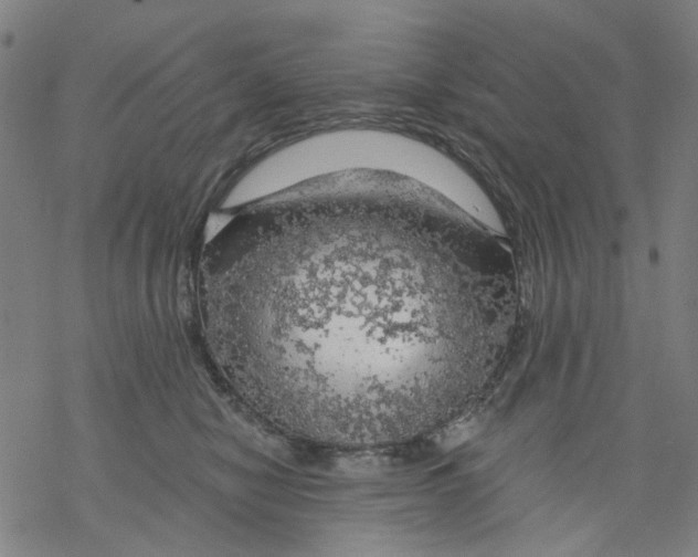 X0000068890470200605261850