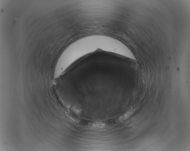 X0000068890471200605261850