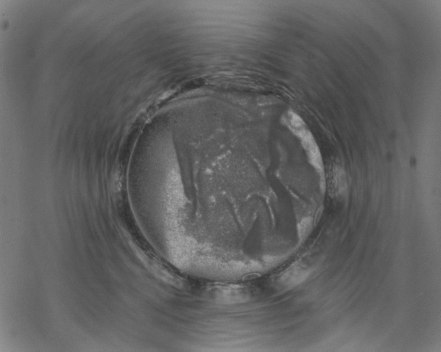 X0000068890472200605261850