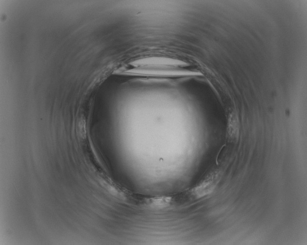 X0000068890474200605261850