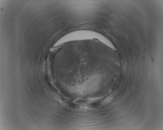 X0000068890475200605261850