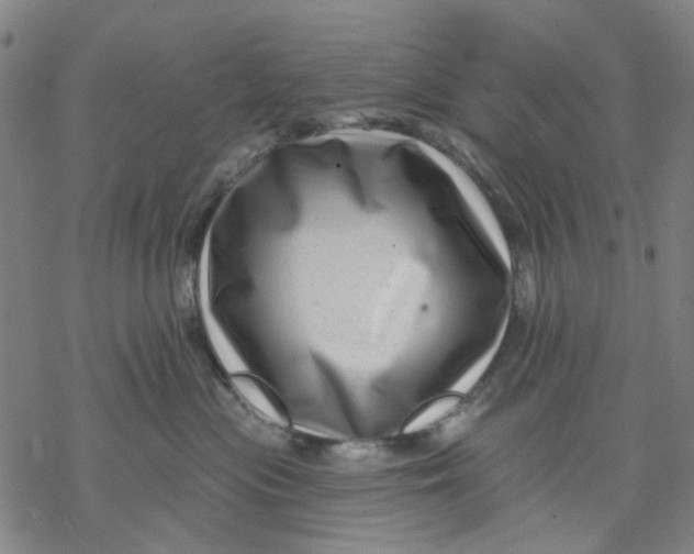 X0000068890477200605261850