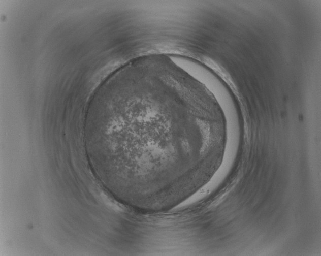 X0000068890481200605261850