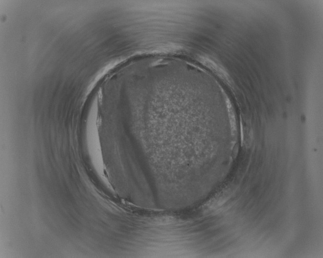 X0000068890483200605261849