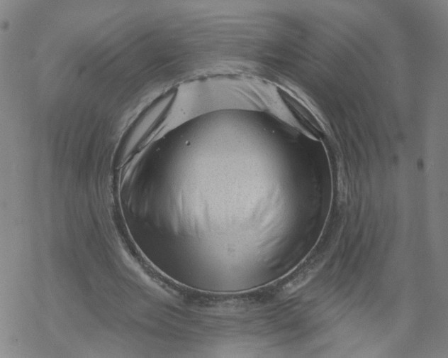 X0000068890485200605261849