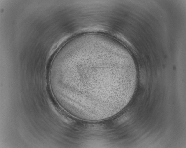 X0000068890486200605261849