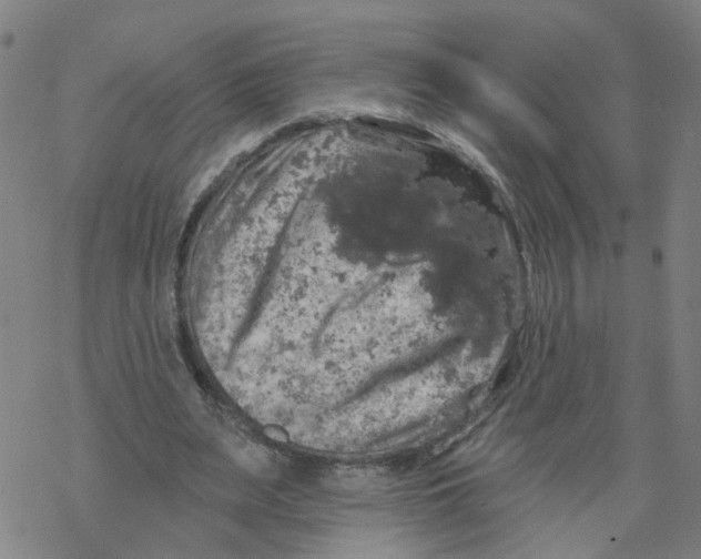 X0000068890487200605261849