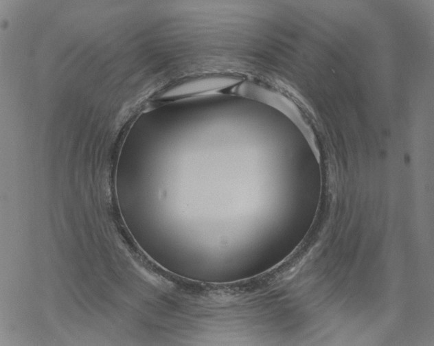 X0000068890489200605261849