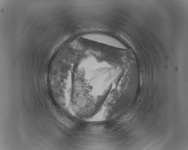 X0000068890491200605261849