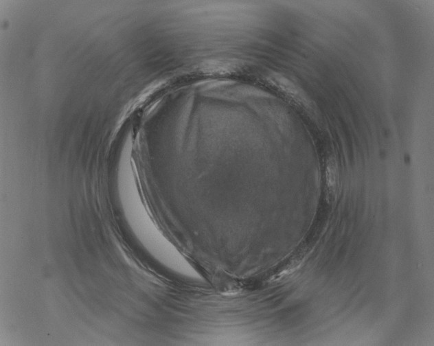 X0000068890492200605261849