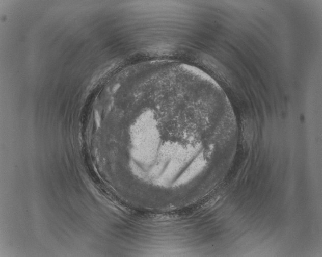 X0000068890494200605261849