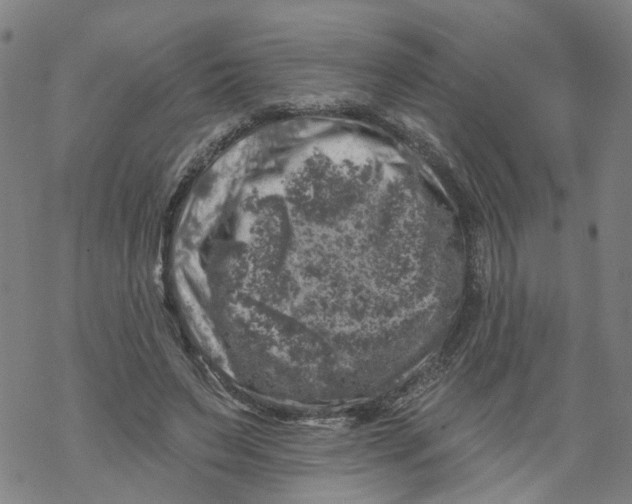 X0000068890495200605261849