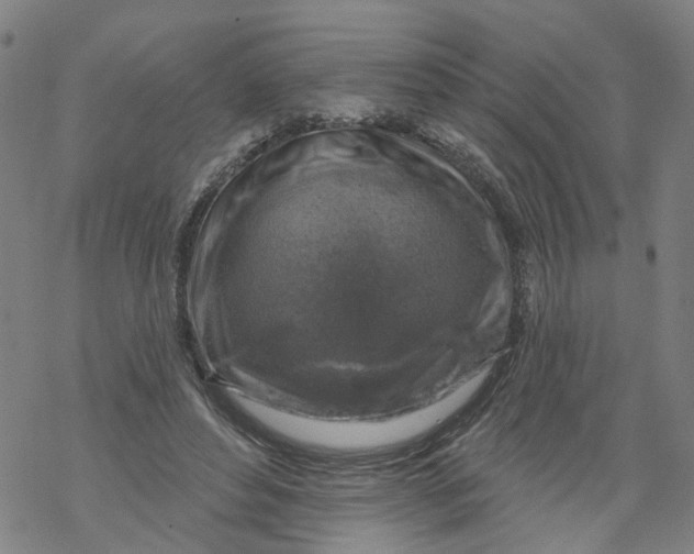 X0000068890496200605261849