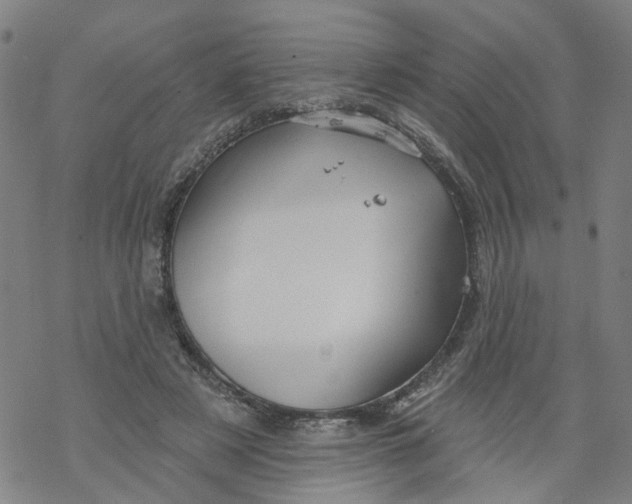 X0000068890497200605261849