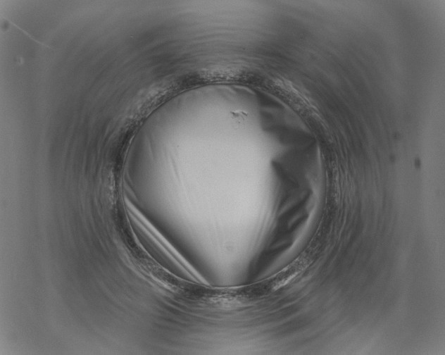 X0000068890498200605261849