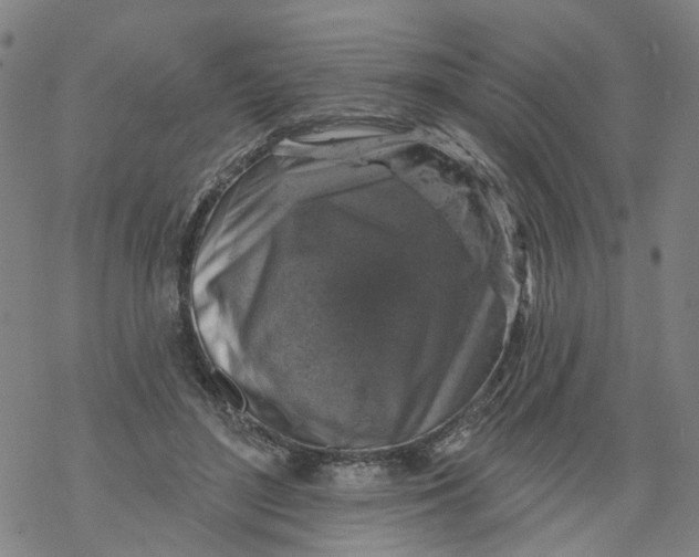 X0000068890500200605261849