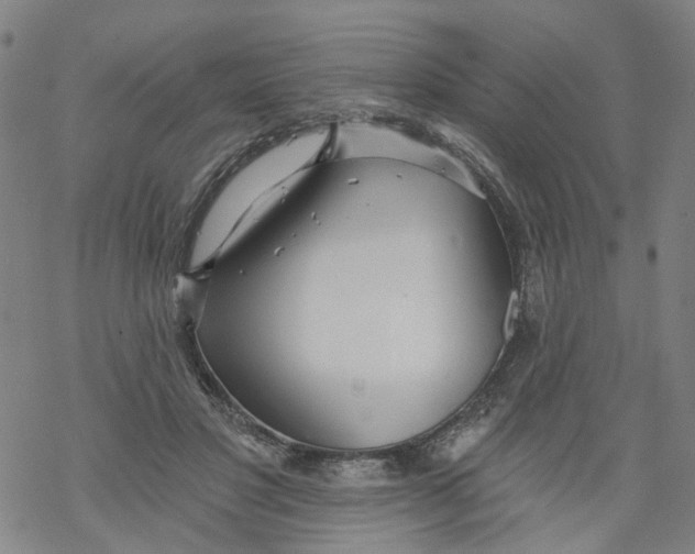 X0000068890501200605261849