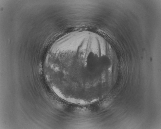 X0000068890502200605261849