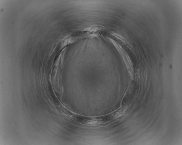 X0000068890504200605261849