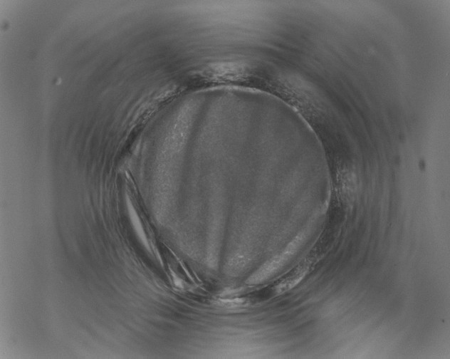 X0000068890506200605261849