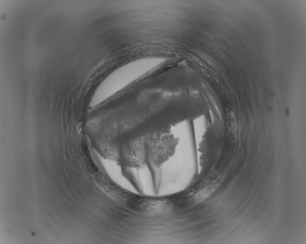 X0000068890507200605261849