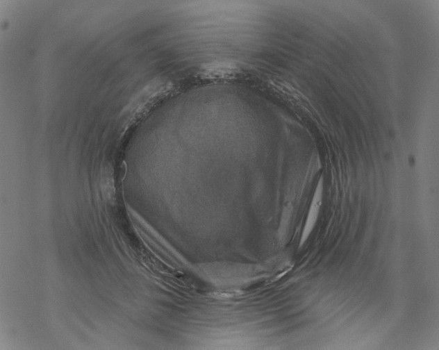 X0000068890508200605261849